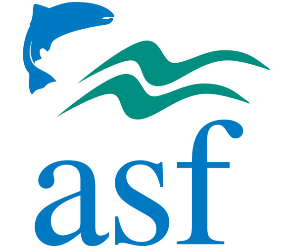 Atlantic Salmon Federation